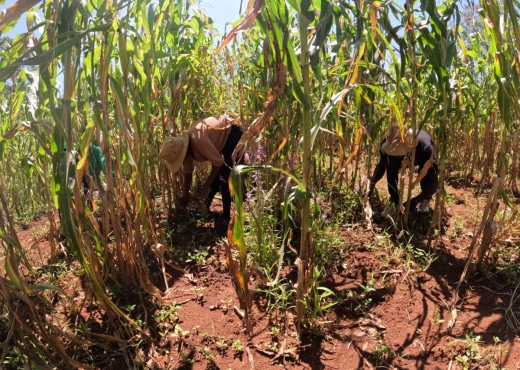 MM-trial-Homa-Bay-Dec-3-2022-2