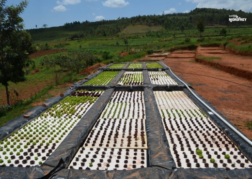 AgriTech finalists Smart Agri-Centres and Njordfrey partnered on a two-year R&D project combining their technologies in collaboration with Innovate UK’s Energy Catalyst Programme