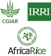 merged-irri-cgiar-africarice